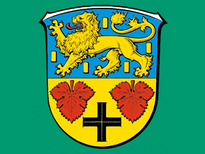 Single reichelsheim