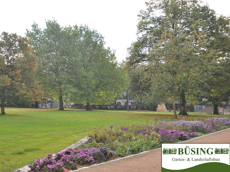 Busing Gmbh Garten Und Landschaftsbau In Schiffdorf Spaden