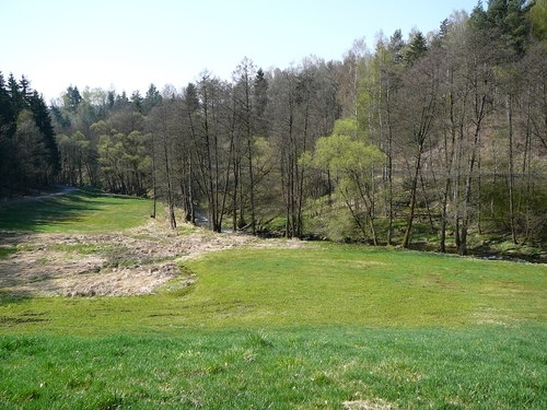 Single landkreis tirschenreuth