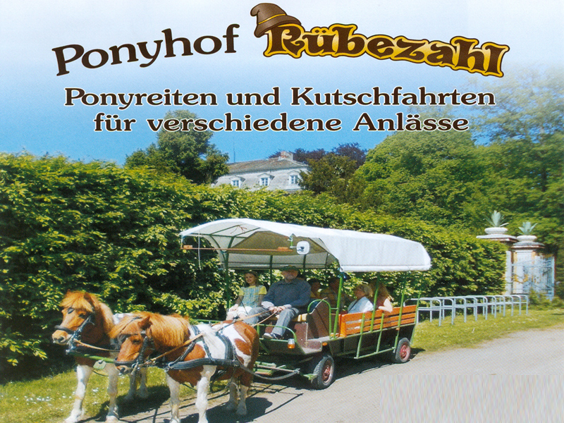 Titelbild von Ponyhof Rübezahl - Ponyreiten & Kutschfahrten